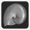 Search for nautilus stickers Beach