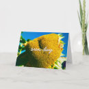 Search for blank sunflower cards Yellow flower