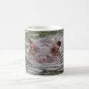 Search for zoos mugs Mammals