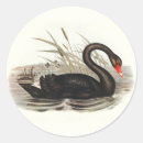 Search for black swan stickers Vintage