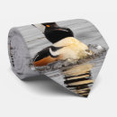 Search for waterfowl ties Ducks