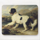 Search for 73 mousepads Edwin