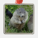 Search for groundhog christmas tree decorations Cute