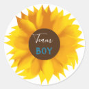 Search for gender reveal party stickers Bee baby shower