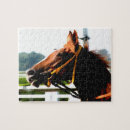Search for horse racing puzzles Thoroughbred