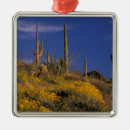 Search for pipe organ christmas tree decorations Saguaro