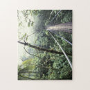 Search for forest path puzzles Tropical