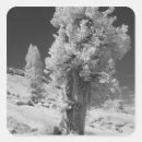 Search for infrared stickers Creative