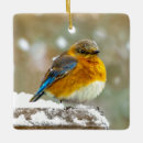 Search for bluebird christmas tree decorations Snow