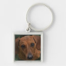 Search for dachshund lover key rings Pets