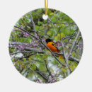 Search for oriole christmas tree decorations Nature