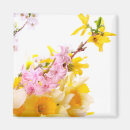 Search for spring daffodils magnets Blossoms