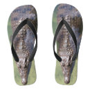 Search for alligator thongs Reptile