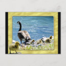 Search for “mum” postcards Bird