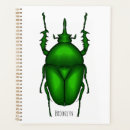 Search for bug planners Beetles