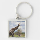 Search for tanzania key rings Animal
