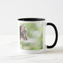 Search for cat in a window mugs Domestic animals
