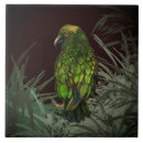 Search for new zealand birds tiles Kea
