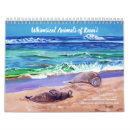 Search for turtle calendars Sea turtles