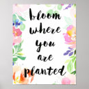 Search for bloom where you are planted posters Pink