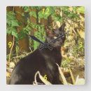 Search for black cat clocks Animals