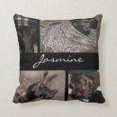 Search for pet cushions Black