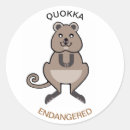 Search for wallabies stickers Wildlife