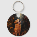 Search for golden retriever key rings Funny