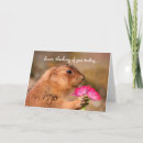 Search for prairie dog cards Fun