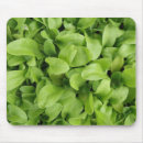 Search for marigold mousepads Garden