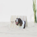 Search for springer spaniel cards Dog