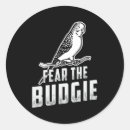 Search for budgerigar stickers Parakeet