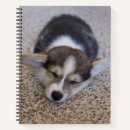 Search for corgi notebooks Pet