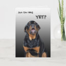 Search for barks cards Animals