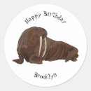 Search for cartoon walrus stickers Mammal