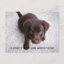 Search for dog quotes postcards Funny