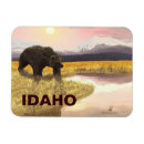 Search for ponds magnets Nature