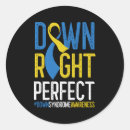 Search for disability rights stickers Down right perfect