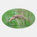 Search for weeding stickers Summer