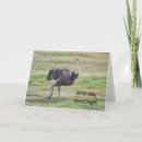 Search for bird pun cards Cute