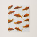 Search for goldfish puzzles Swimming