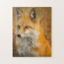 Search for renard Animal