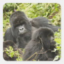 Search for young adult stickers Diurnal