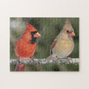 Search for cardinal puzzles Green