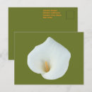 Search for option postcards For her