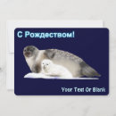 Search for ringed cards Wildlife