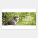 Search for hate mail Cat