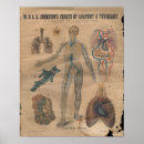 Search for circulatory Heart