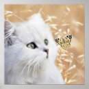 Search for cat butterfly art Cats