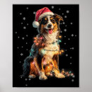 Search for australian christmas posters Shepherd